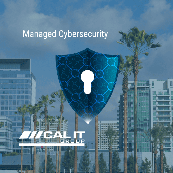 How Managed Cybersecurity Services Save Orange County Small Businesses Money